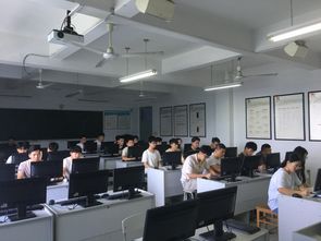 动态网站开发专项实训 计算机应用技术学生的技术提升之路